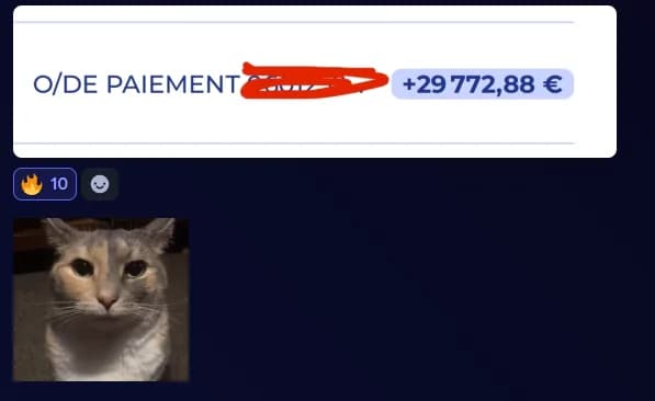 Message Discord : virement de 29 772,88 €
